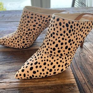 Dolce Vita Animal Print Hair Calf Mules EUC Size 10